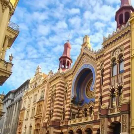 Just Steps From Wenceslas Square! פראג